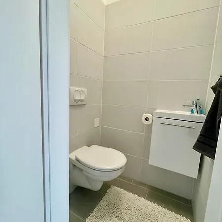 Swallow I Freeparking Budapest