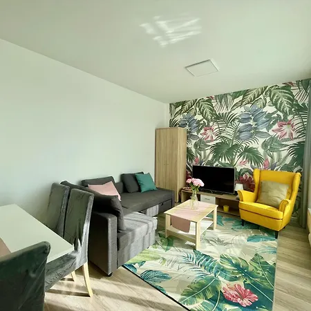 Swallow I Freeparking *